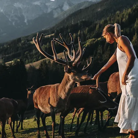 Jufenalm Boho Hotel&restaurant Maria Alm am Steinernen Meer