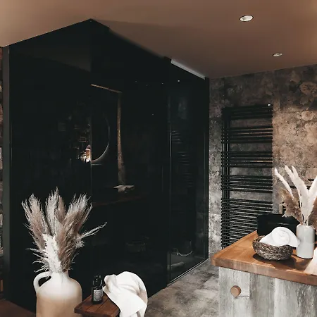 Jufenalm Boho & Wellnesshotel 4* מריה אלם אם שטיינרנן מיר